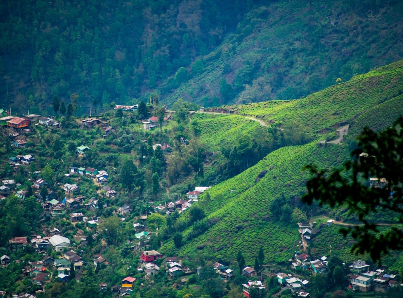 Famous Local Foods In Darjeeling