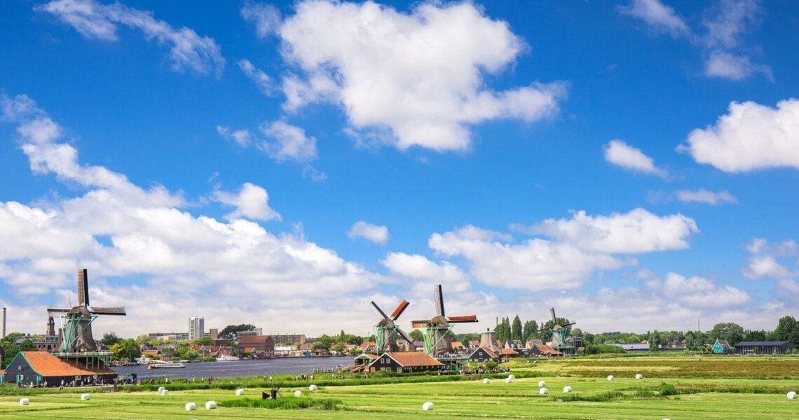 Top 5 Gardens In The Netherlands